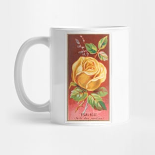 Pearl Rose (Perle des jardins) Mug